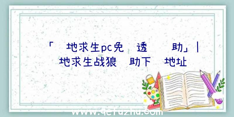 「绝地求生pc免费透视辅助」|绝地求生战狼辅助下载地址